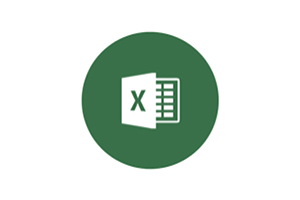 Microsoft Excel